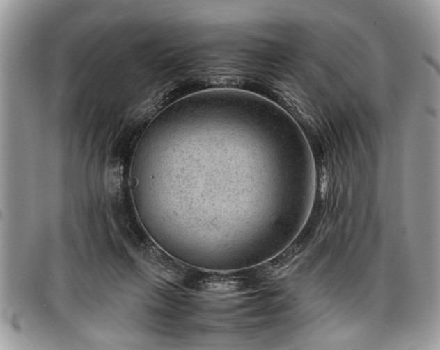X0000096940263200802151221