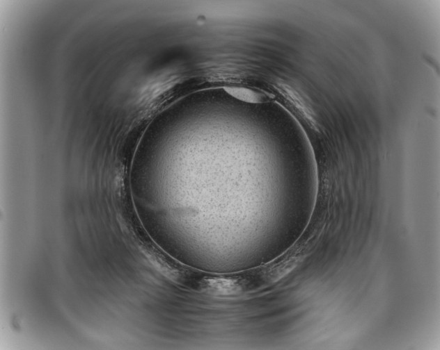 X0000096940265200802151221