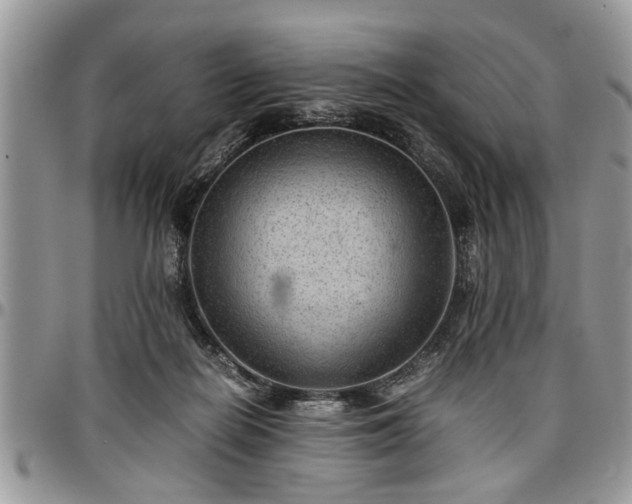 X0000096940266200802151221