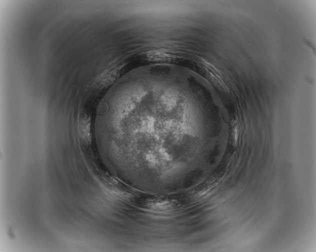 X0000096940267200802151221
