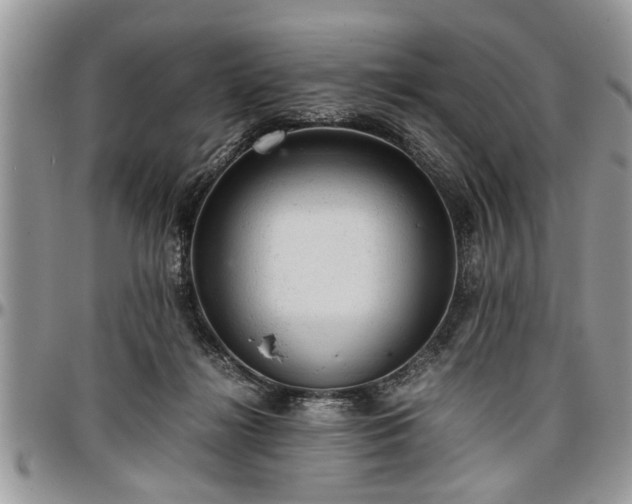 X0000096940268200802151221