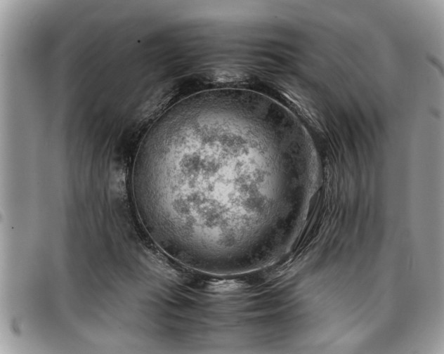 X0000096940269200802151221