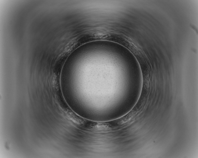 X0000096940270200802151221