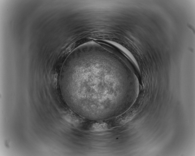 X0000096940271200802151221