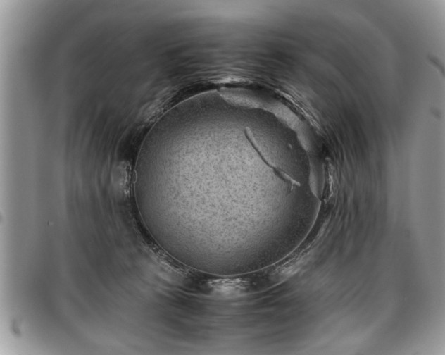 X0000096940273200802151221