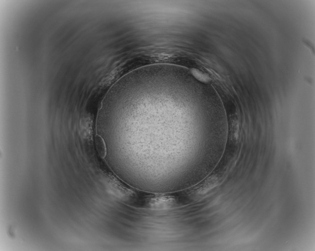 X0000096940274200802151221