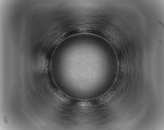 X0000096940275200802151221