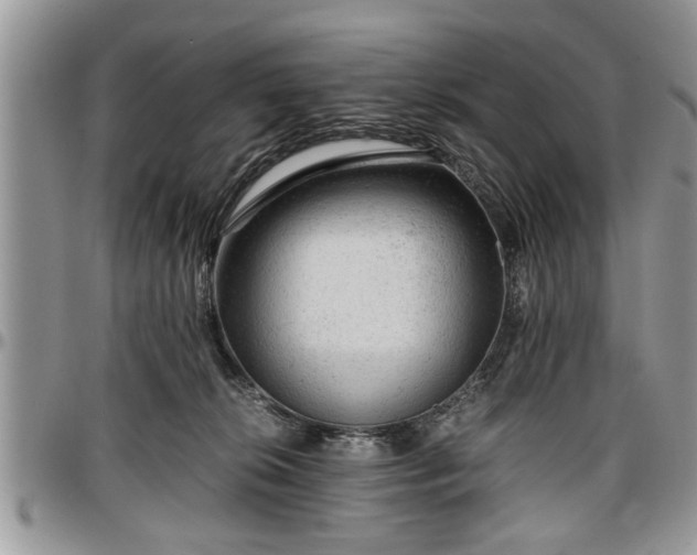 X0000096940276200802151221