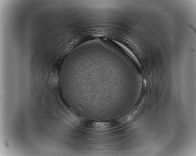 X0000096940277200802151221