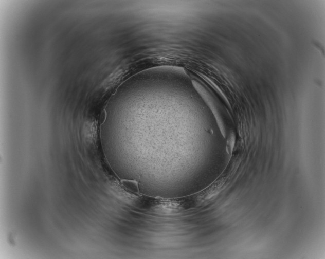 X0000096940278200802151221