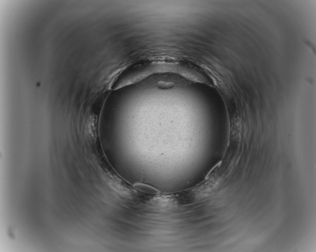 X0000096940280200802151221