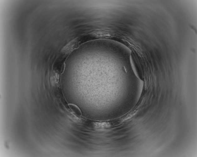 X0000096940281200802151221