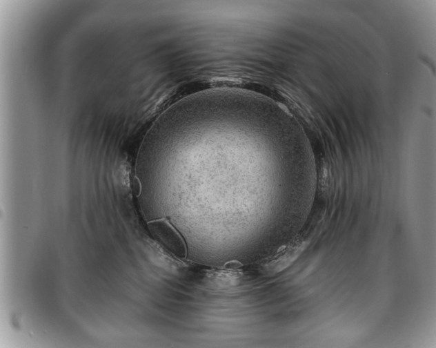 X0000096940282200802151222