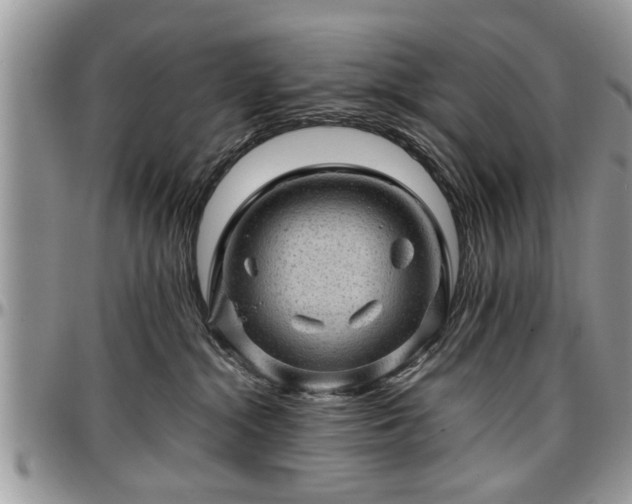 X0000096940284200802151222