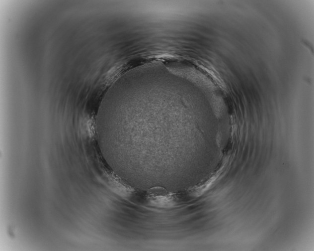 X0000096940285200802151222