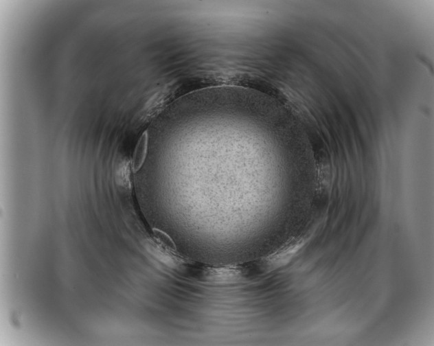 X0000096940286200802151222