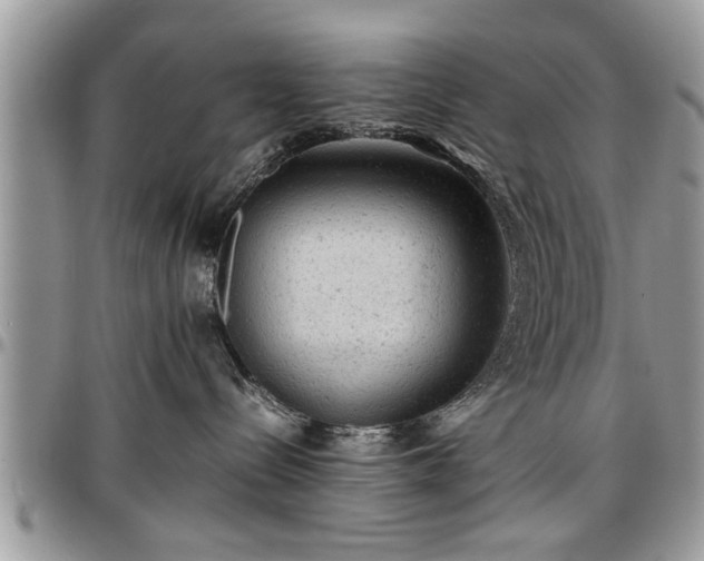 X0000096940288200802151222
