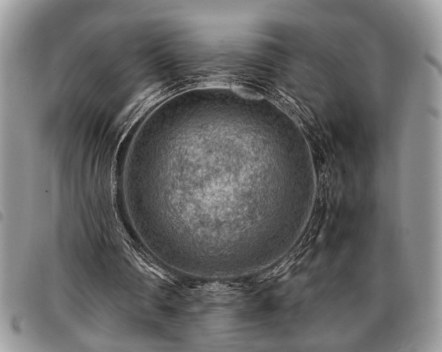X0000096940290200802151221
