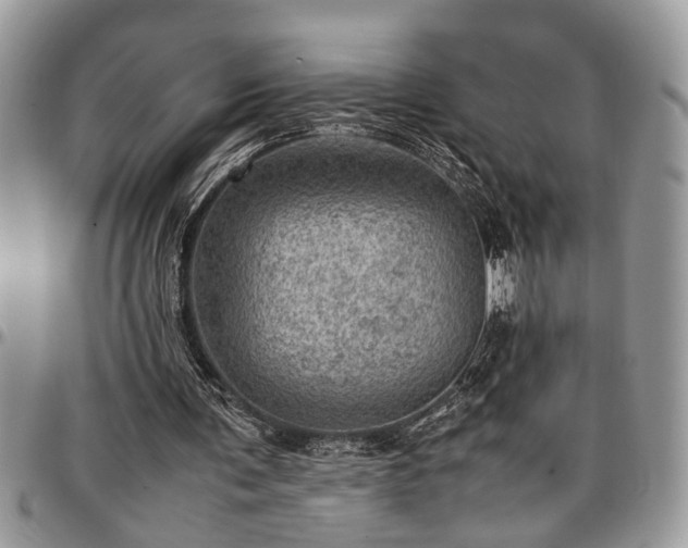 X0000096940291200802151221