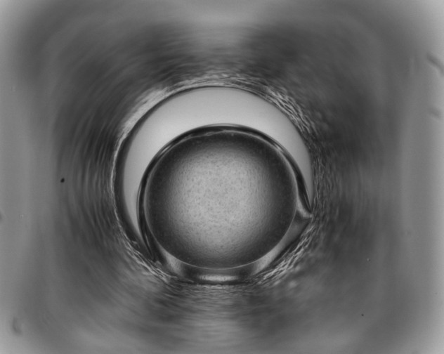 X0000096940292200802151221