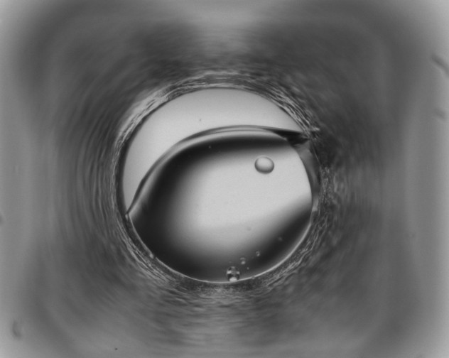 X0000096940293200802151221