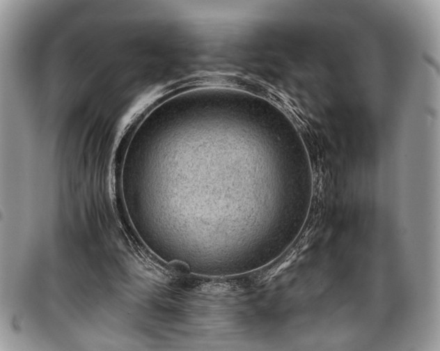 X0000096940294200802151221