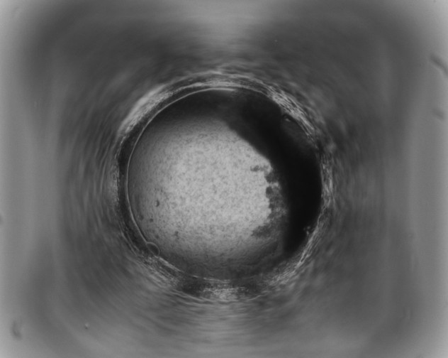 X0000096940295200802151221