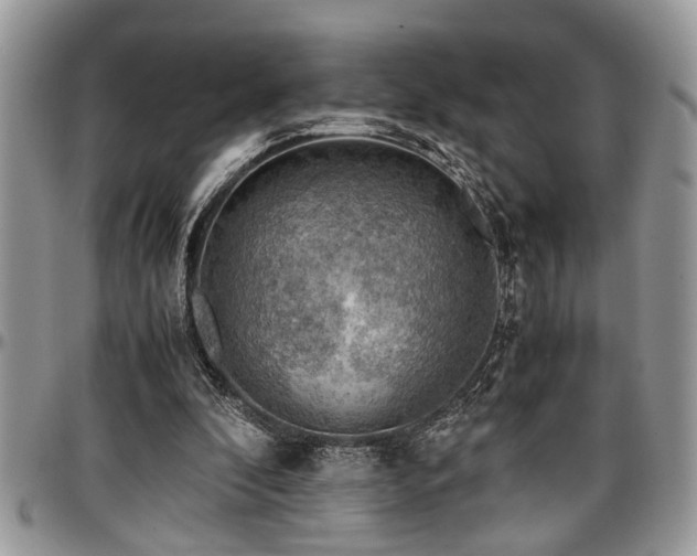 X0000096940296200802151221