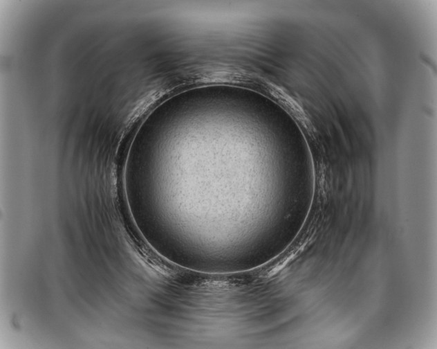 X0000096940298200802151221
