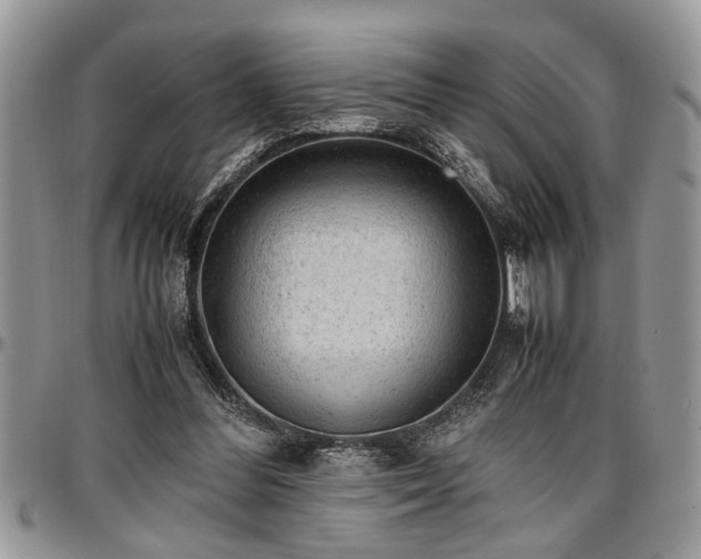 X0000096940300200802151221