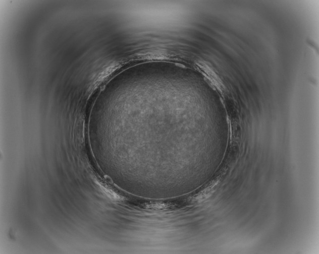 X0000096940301200802151221