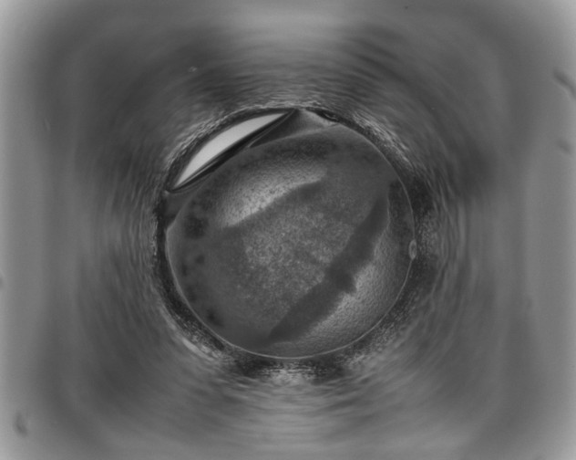 X0000096940303200802151221
