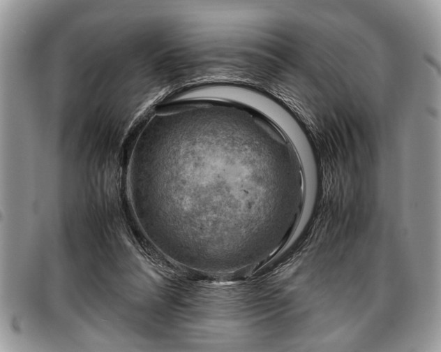 X0000096940304200802151221
