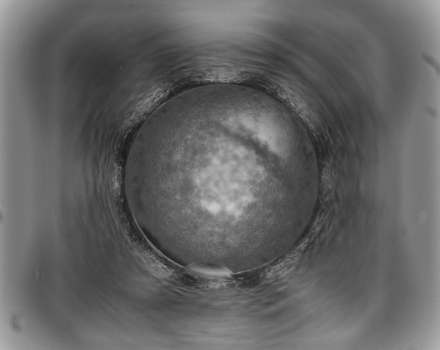 X0000096940305200802151221