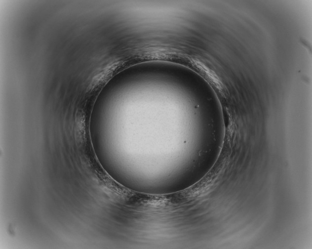 X0000096940306200802151221