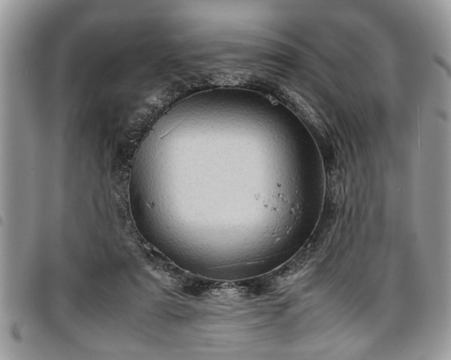 X0000096940307200802151221
