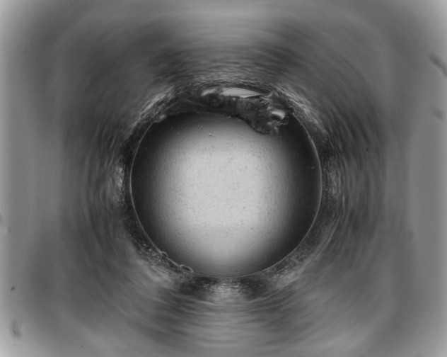 X0000096940308200802151221