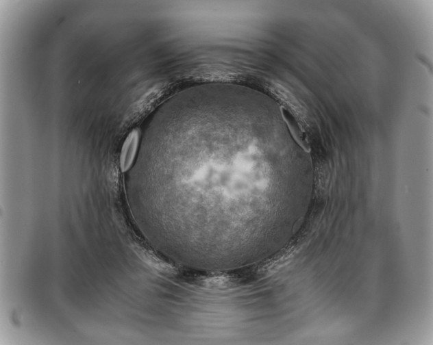 X0000096940309200802151220