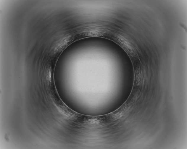X0000096940310200802151220