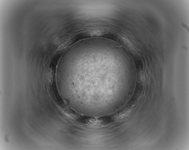 X0000096940311200802151220