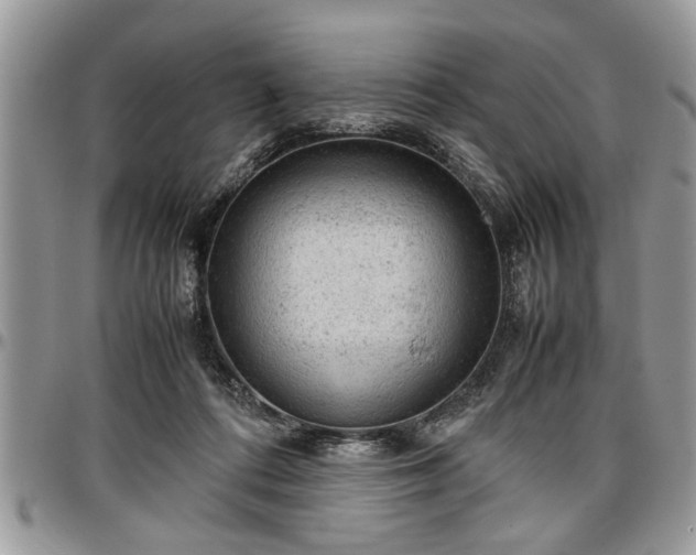 X0000096940312200802151220