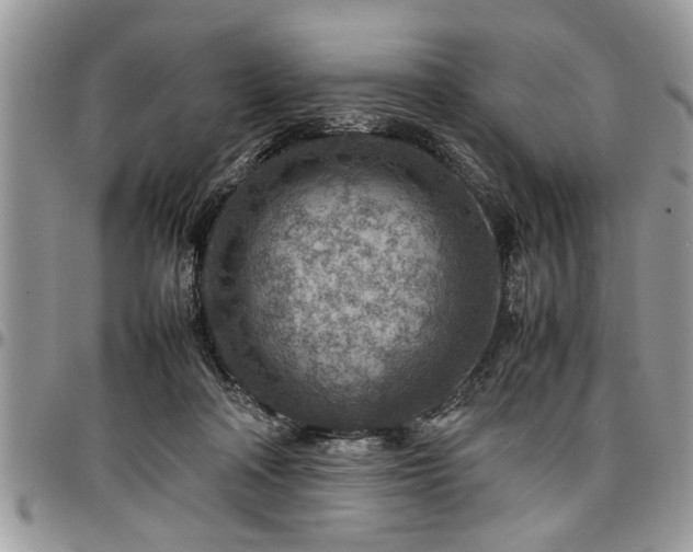 X0000096940314200802151220