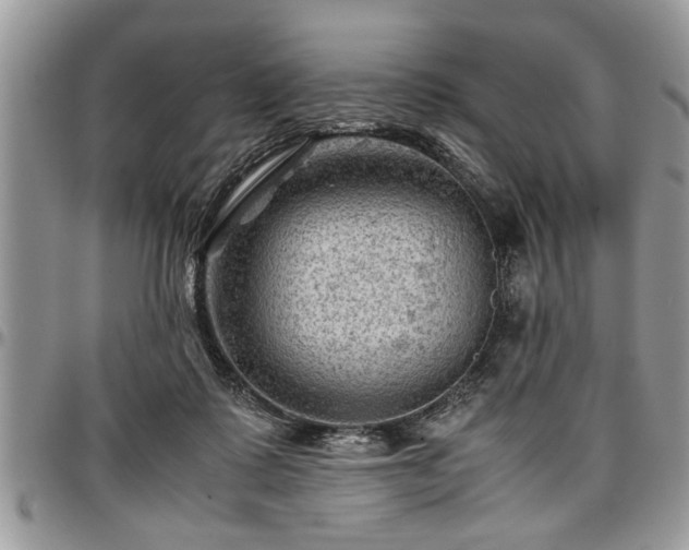 X0000096940315200802151220