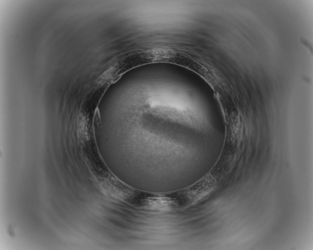 X0000096940316200802151220