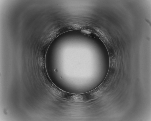 X0000096940317200802151220