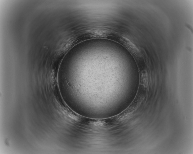 X0000096940318200802151220