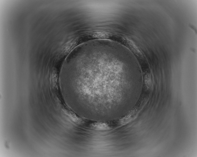 X0000096940322200802151220