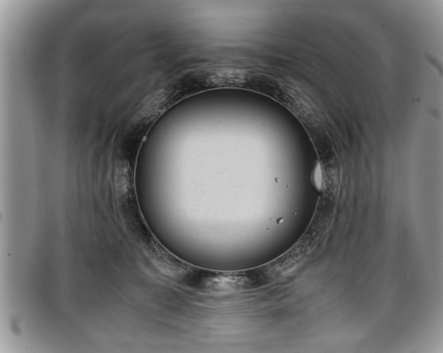 X0000096940323200802151220