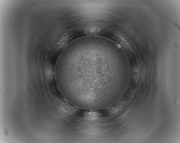 X0000096940324200802151220