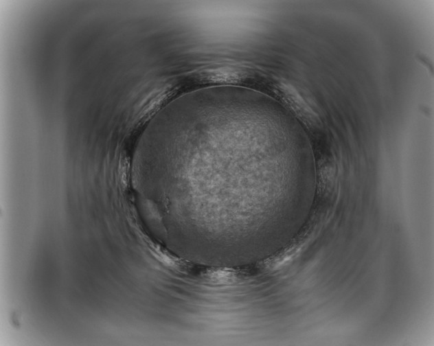 X0000096940325200802151220